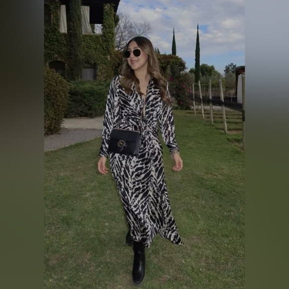 ZARA BLOGGERS’ FAVORITE SATIN EFFECT ANIMAL PRINT DRESS - Picture 1 of 16